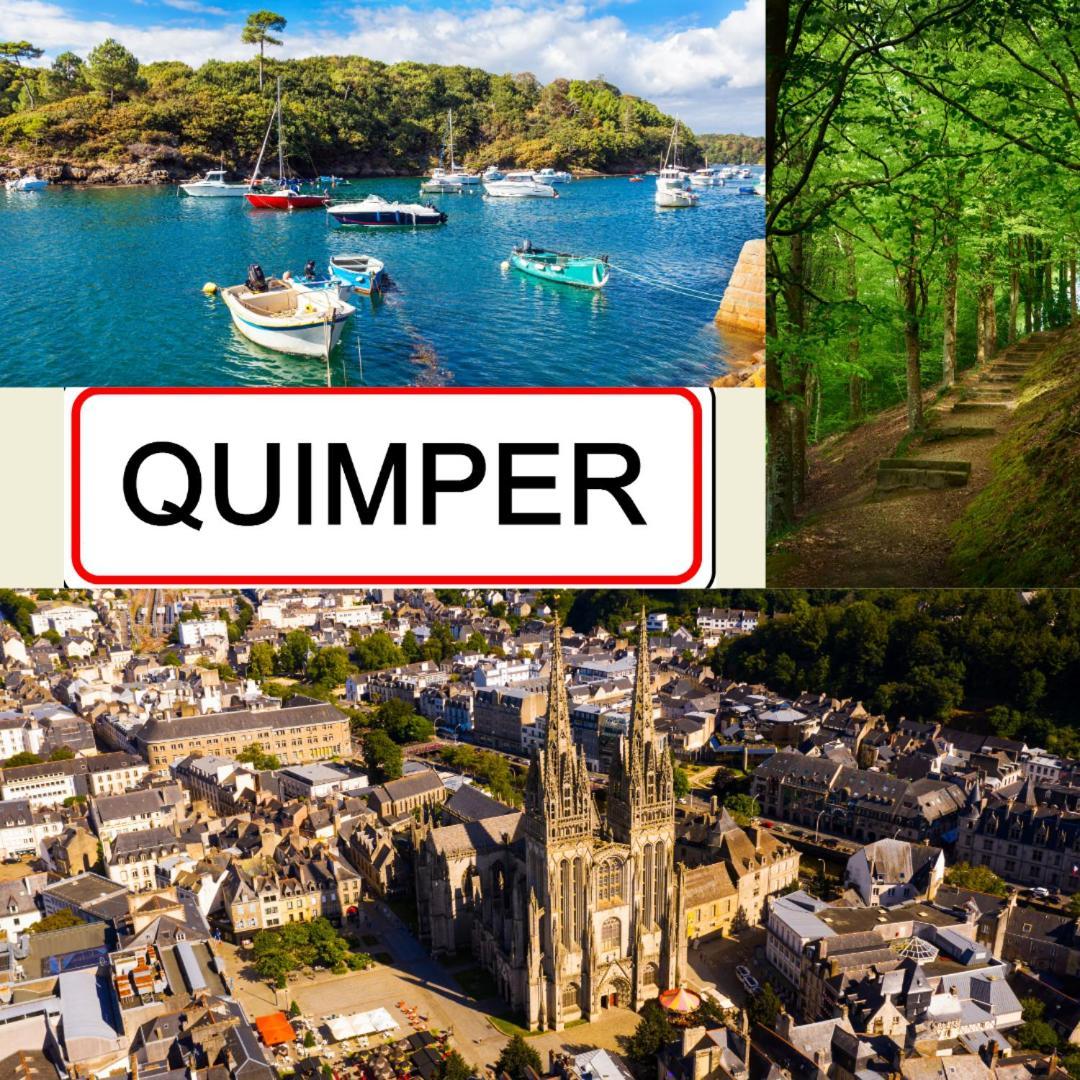 Les Rives De L'Odet, Vue Riviere Lejlighed Quimper Eksteriør billede