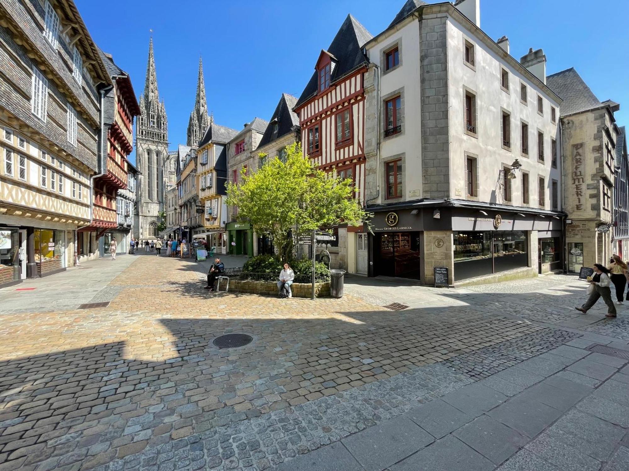 Les Rives De L'Odet, Vue Riviere Lejlighed Quimper Eksteriør billede